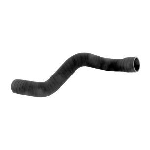 RADIATOR BOTTOM HOSE